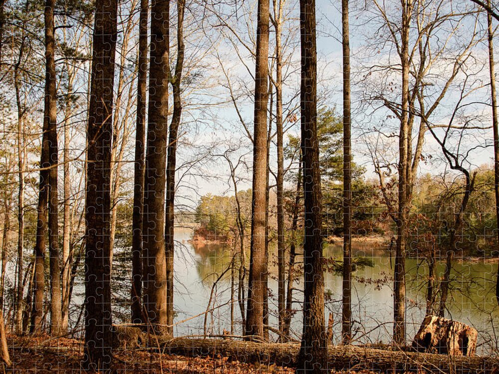 January Jigsaw Puzzle featuring the photograph Winter Day at Lake James by Joni Eskridge