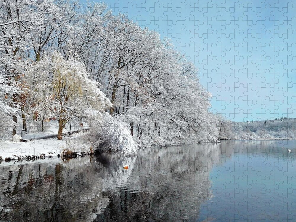 Winter Jigsaw Puzzle featuring the photograph Winter Mood by Lyuba Filatova