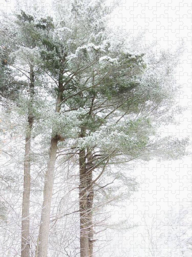 Nature Jigsaw Puzzle featuring the photograph Winter Pines by Marcia Lee Jones