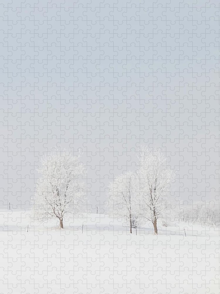 Winter Jigsaw Puzzle featuring the photograph Winter Snow Scene - Vertical 3 by Patti Deters