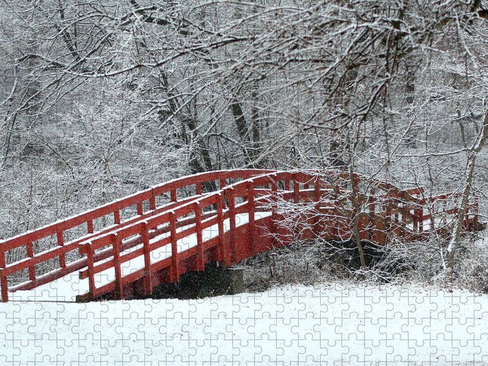 Red Jigsaw Puzzle featuring the photograph Winter Solitude by Lens Art Photography By Larry Trager