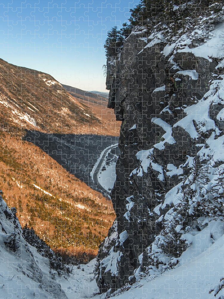Winter Jigsaw Puzzle featuring the photograph Winter Watcher Crop by White Mountain Images