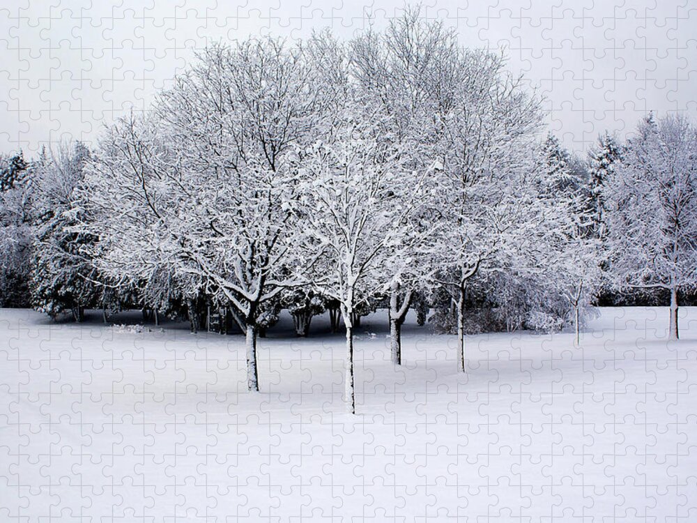 Milwaukee Jigsaw Puzzle featuring the photograph Winter Wonderland by Deb Beausoleil