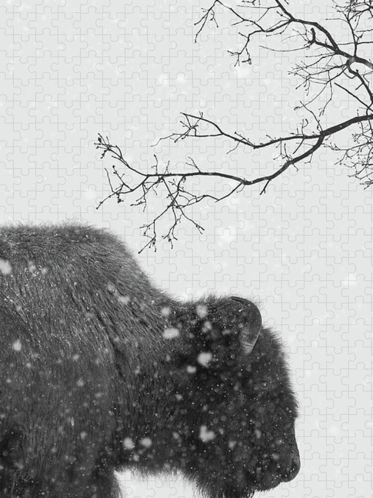 Bison Jigsaw Puzzle featuring the photograph Winter Wood Bison by Scott Slone