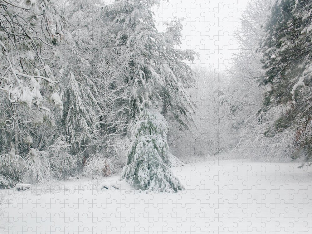 Snow Jigsaw Puzzle featuring the mixed media Winterland by Moira Law