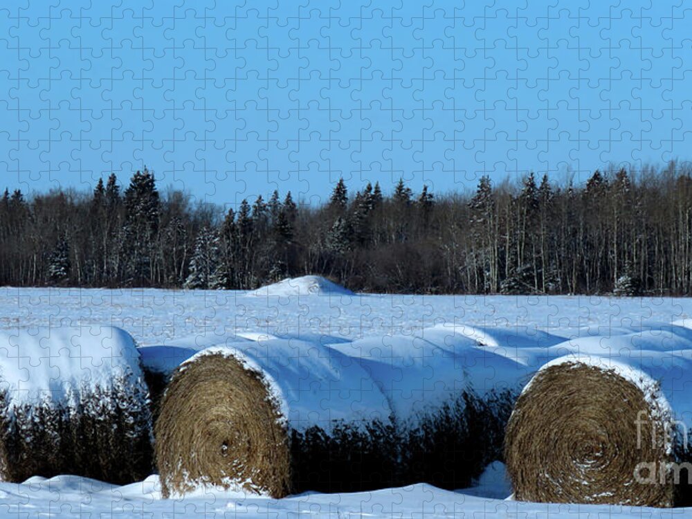 Canada Jigsaw Puzzle featuring the photograph Winter's Coming by Mary Mikawoz