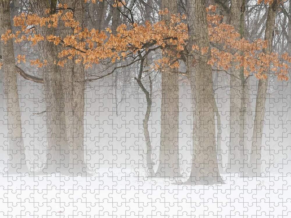 Winter Jigsaw Puzzle featuring the photograph Winter's End by Forest Floor Photography