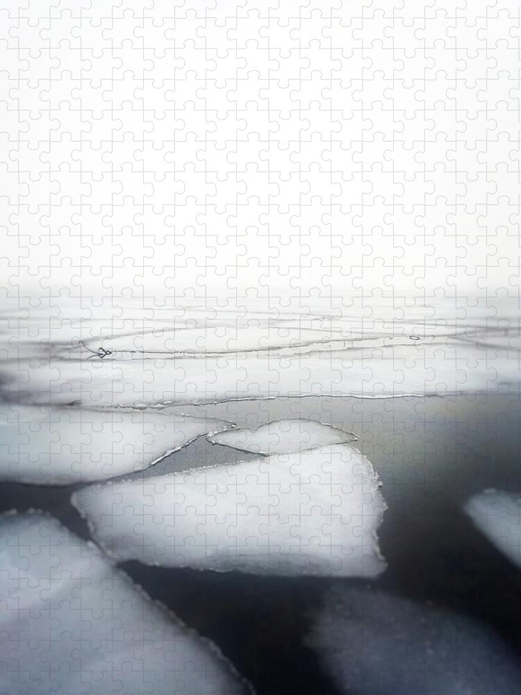 Ice Jigsaw Puzzle featuring the photograph Winter's End by Michelle Calkins