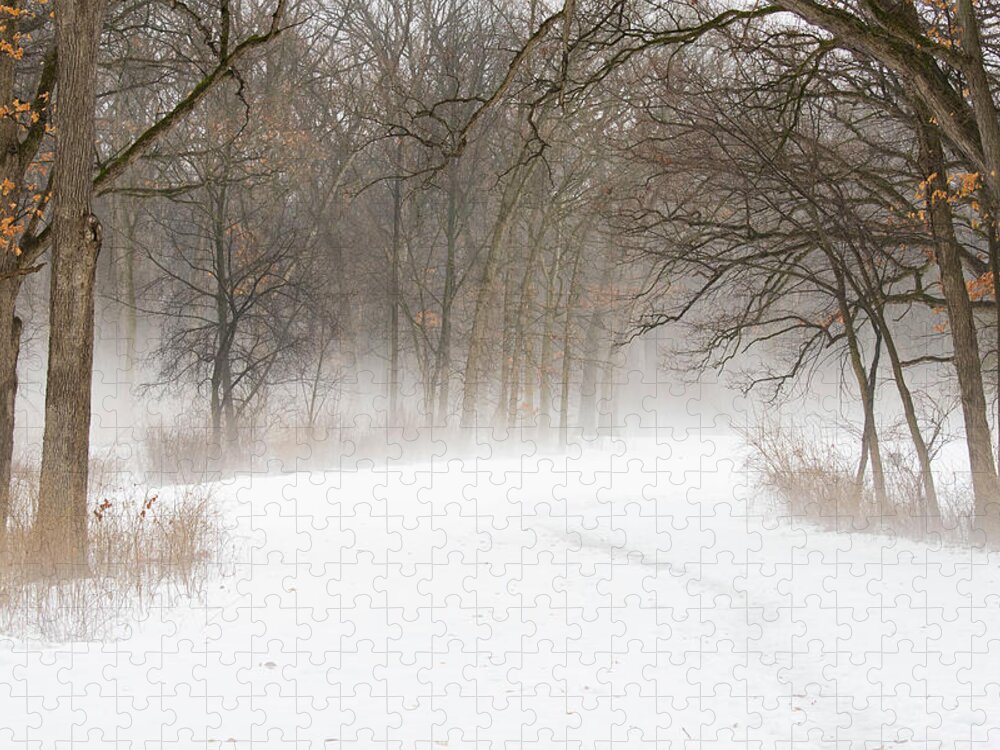 Winter Jigsaw Puzzle featuring the photograph Winter's Magic by Forest Floor Photography
