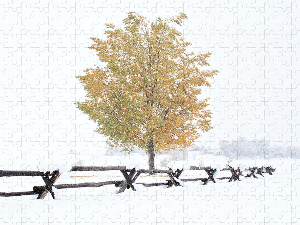Seasonal Jigsaw Puzzle featuring the photograph Winter's Soldier by American Landscapes