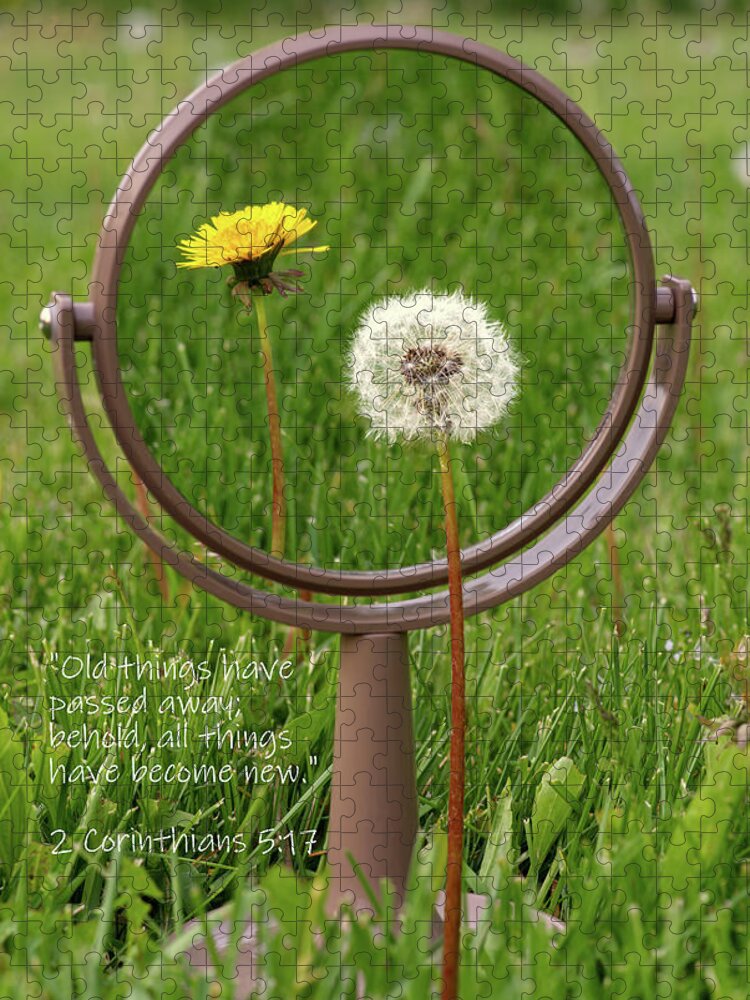 Dandelion Jigsaw Puzzle featuring the photograph With Sympathy- 2 Corinthians by Peter Herman