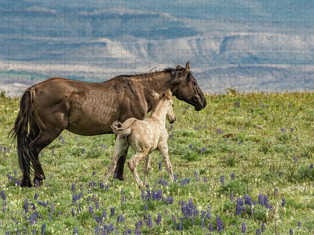 Pryor Mountains Jigsaw Puzzle featuring the photograph Wobbly Legs Leaning on Mama by Marcy Wielfaert