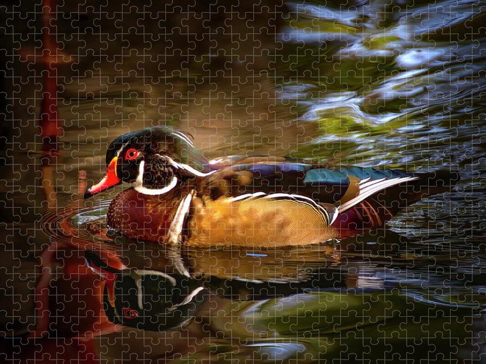 Wood Duck Jigsaw Puzzle featuring the photograph Wood Duck by Mark Andrew Thomas