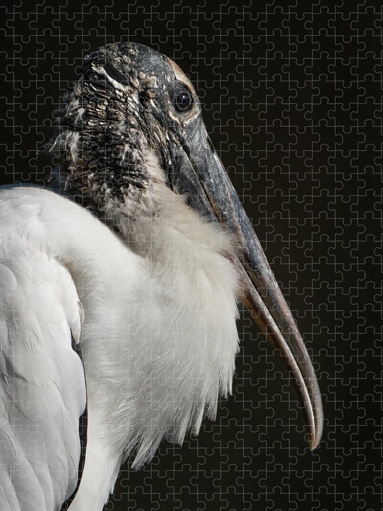 Birds Jigsaw Puzzle featuring the photograph Wood Stork by Larry Marshall