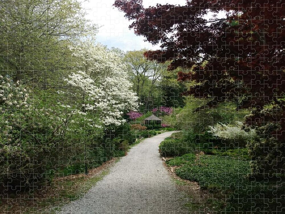 Laurelwood Arboretum Jigsaw Puzzle featuring the photograph Wooded Path at Laurelwood Arboretum by Christopher Lotito