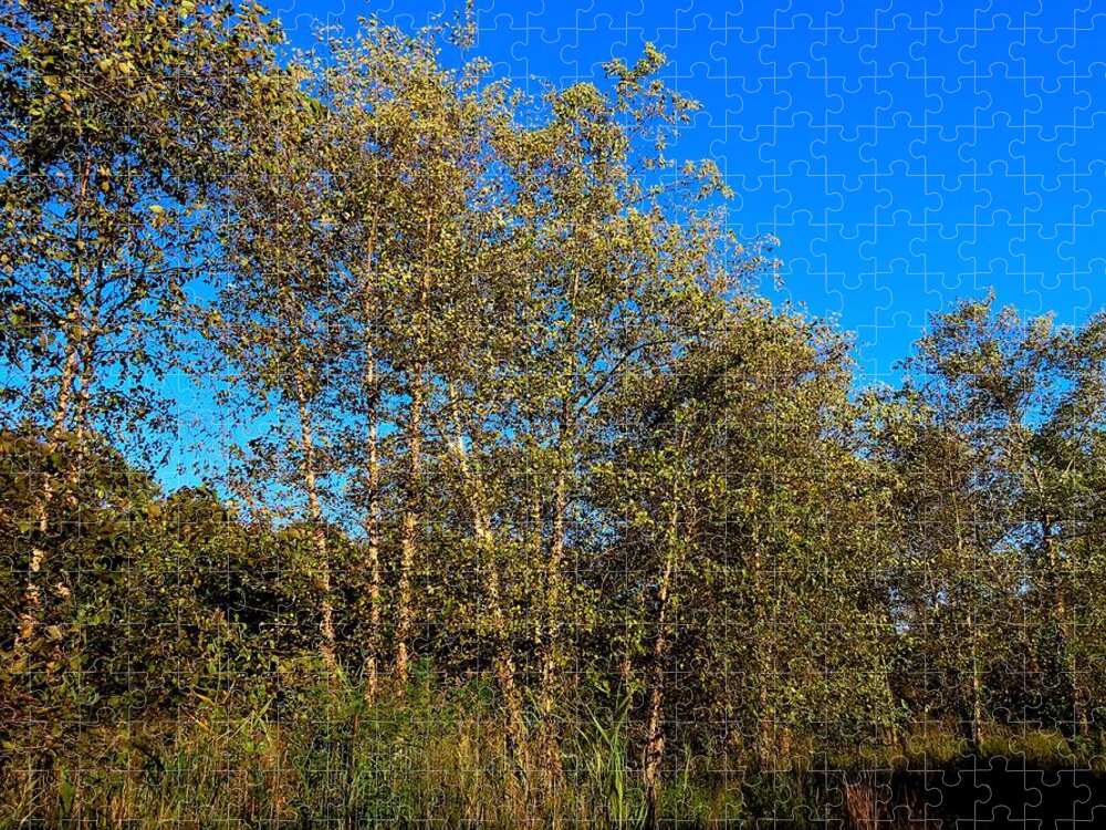 Trees Jigsaw Puzzle featuring the photograph Woodlands at Palmyra Nature Cove by Linda Stern