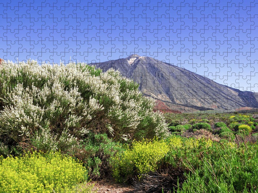 Mountains Jigsaw Puzzle featuring the photograph Yellow and white flowering shrubs in front of Mount Teide by Sun Travels