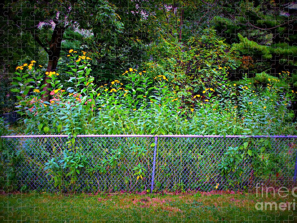 Nature Jigsaw Puzzle featuring the photograph Yellow Flowers And The Fence by Frank J Casella