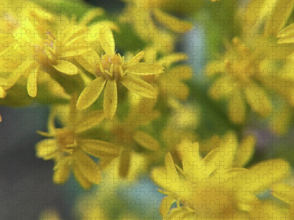 Springtime Jigsaw Puzzle featuring the photograph Yellow Flowers by K Bradley Washburn