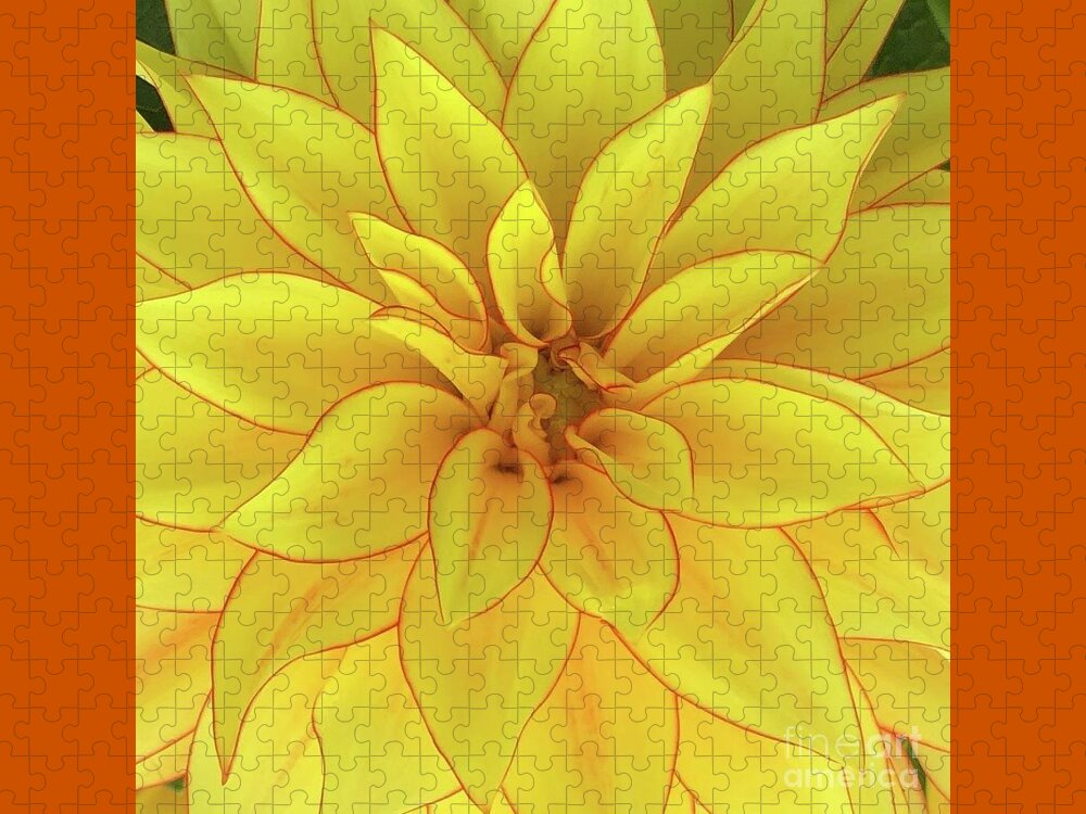 Flower Jigsaw Puzzle featuring the photograph Yellow Sun by Wendy Golden