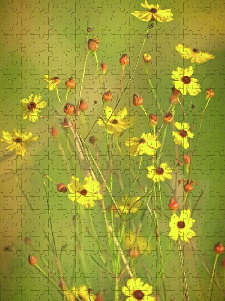 Flower Jigsaw Puzzle featuring the photograph Yellow Wild Flowers by Steve DaPonte