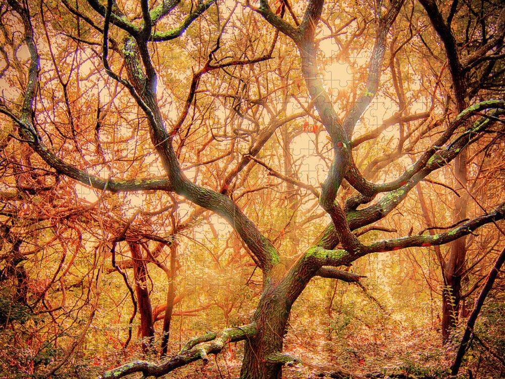 Live Oak Tree Jigsaw Puzzle featuring the photograph Young LIve Oak Tree in the Maritime Forest of the Crystal Coast by Bob Decker