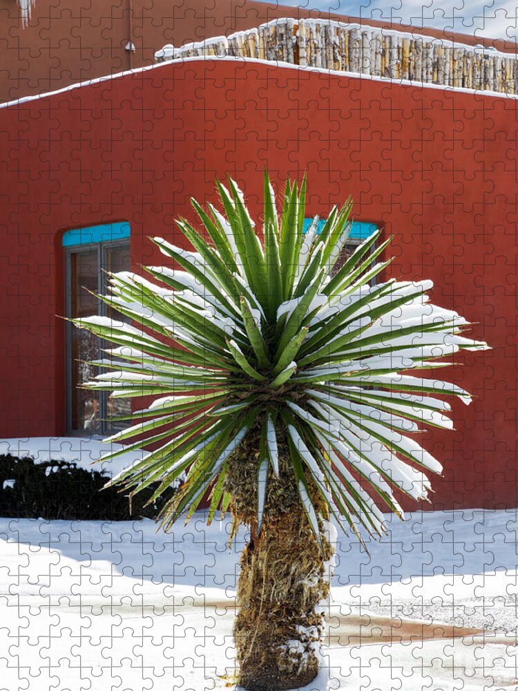 Taos Jigsaw Puzzle featuring the photograph Yucca with Frosting by Elijah Rael