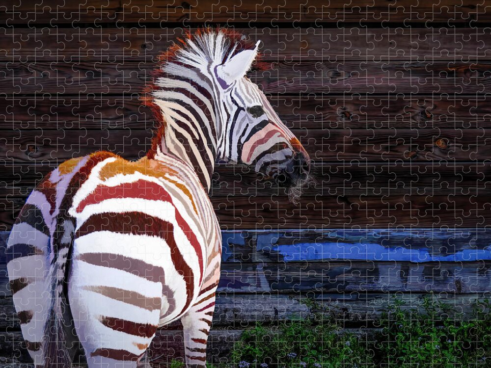 Zebra Jigsaw Puzzle featuring the photograph Zebra Stripe Mix Up by Ginger Stein