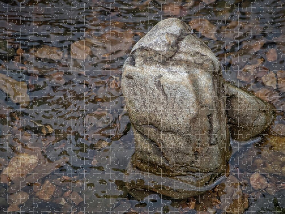 Water Jigsaw Puzzle featuring the photograph Zen Rock by Elaine Malott