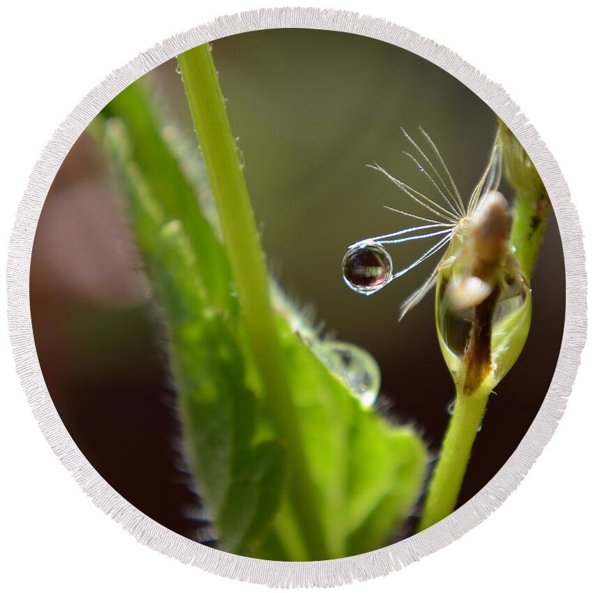 Michelle Meenawwong Round Beach Towel featuring the photograph Dew Drop by Michelle Meenawong