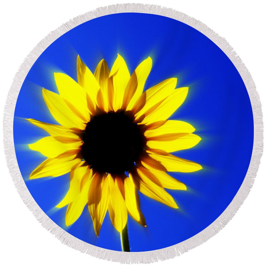Sunflower Round Beach Towel featuring the photograph 083 by Marty Koch