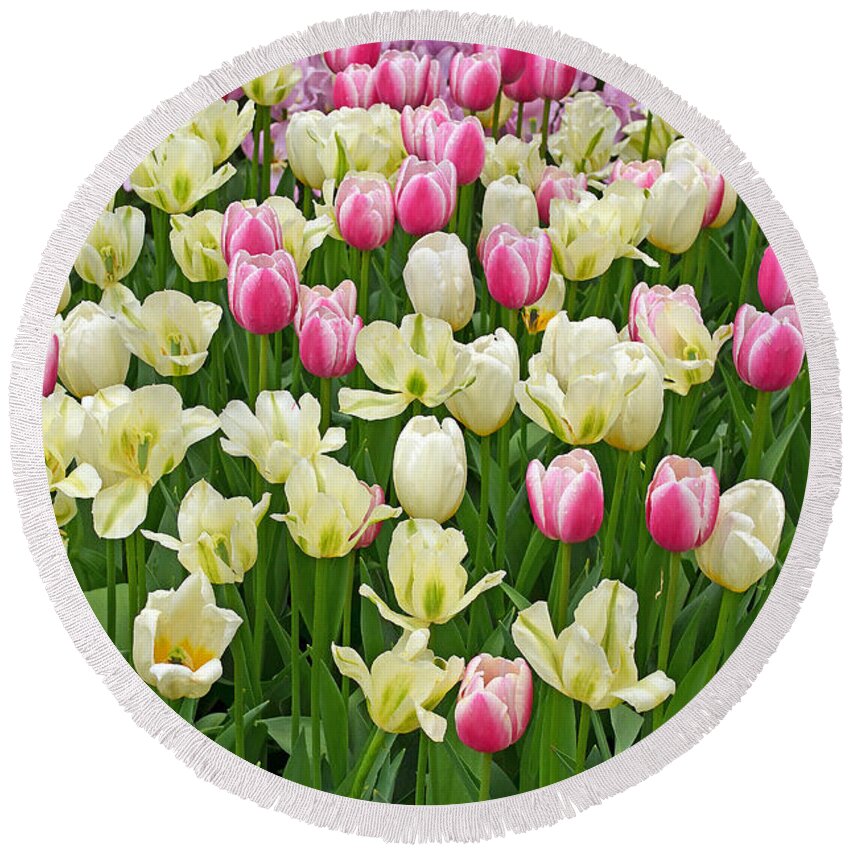 Nature Round Beach Towel featuring the digital art A Field of Tulips #1 by Eva Kaufman