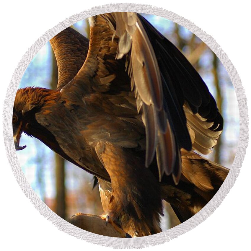 A Golden Eagle Round Beach Towel featuring the photograph A Golden Eagle #1 by Raymond Salani III