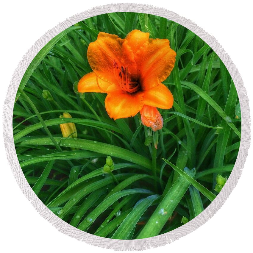 Lily Round Beach Towel featuring the photograph After the Rains #2 by Nick Heap