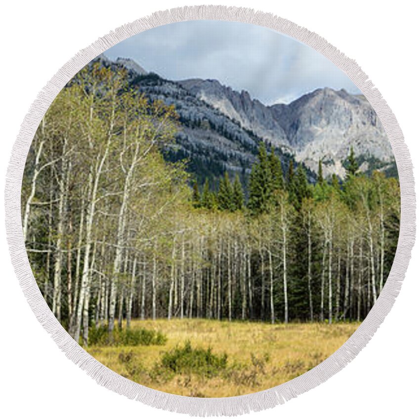 Photography Round Beach Towel featuring the photograph Aspen Trees With Mountains #1 by Panoramic Images