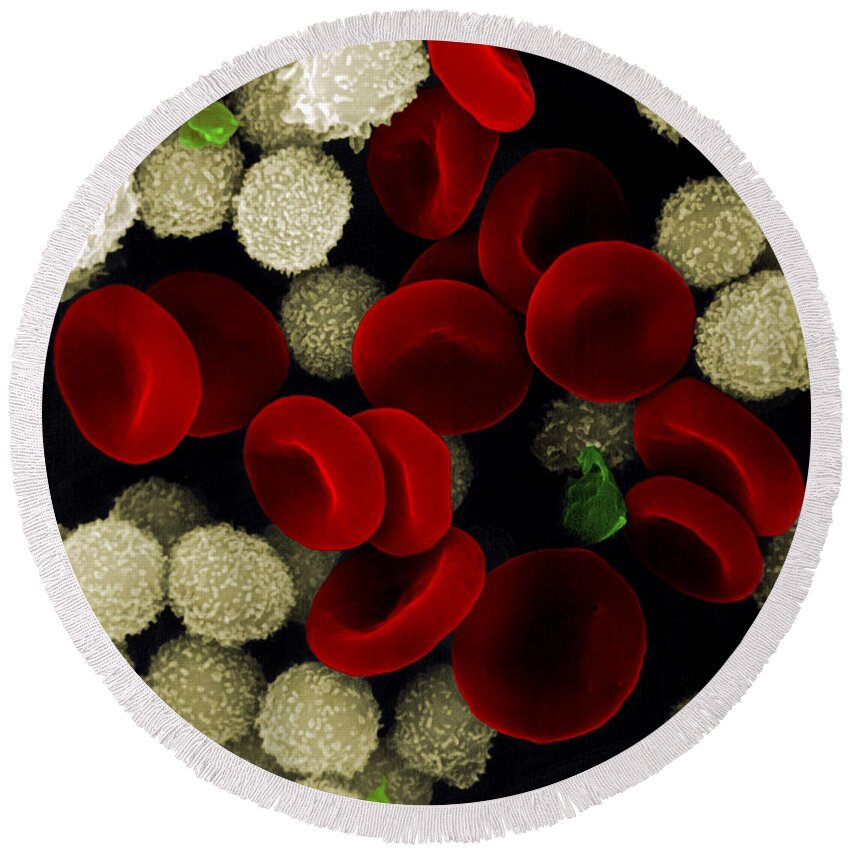 Leukocyte Round Beach Towel featuring the photograph Blood Cells #1 by Stem Jems