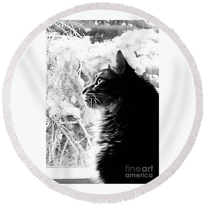 Maine Coon Round Beach Towel featuring the photograph Bo #1 by Jacqueline McReynolds
