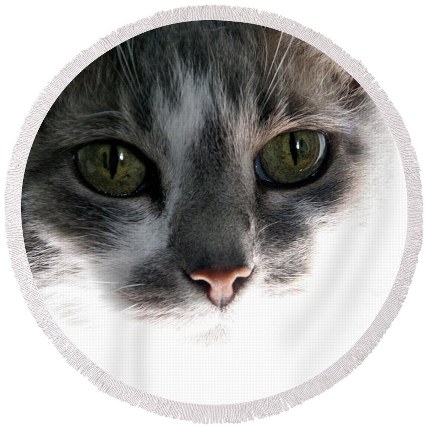 Feline Round Beach Towel featuring the photograph Gray Cat with Green Eyes by Valerie Collins