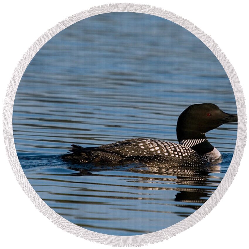 Common Loon Round Beach Towel featuring the photograph Common Loon #1 by Linda Freshwaters Arndt