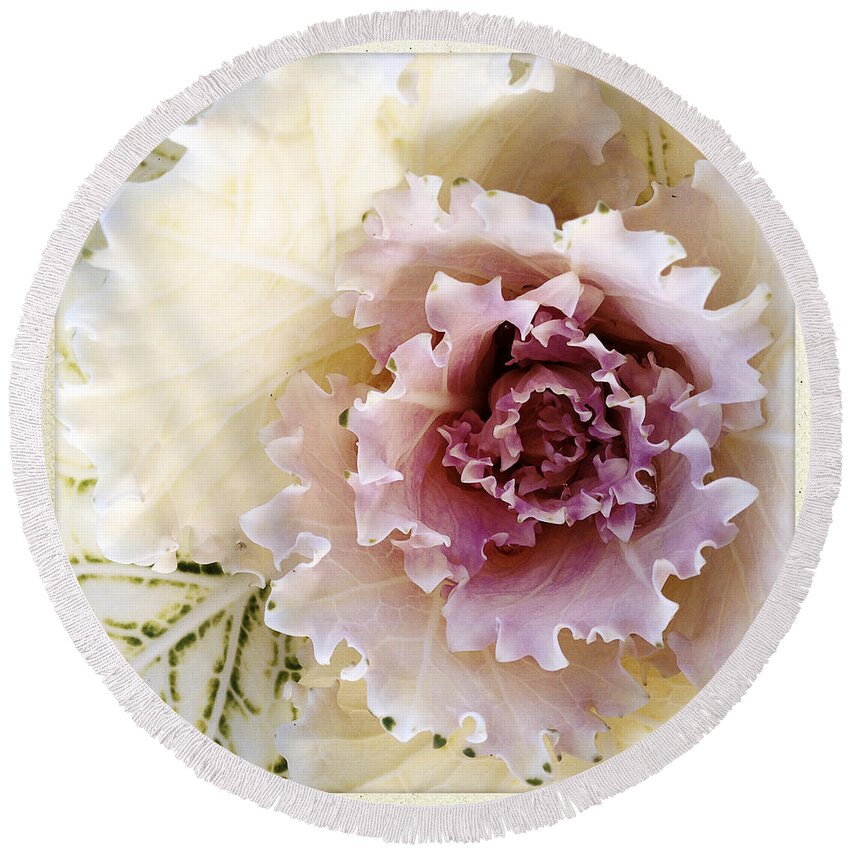 Flower Round Beach Towel featuring the photograph Pretty flower by Les Cunliffe