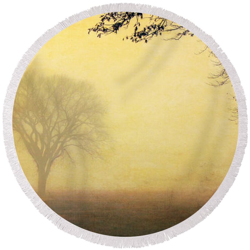 Trees Round Beach Towel featuring the photograph Foggy Morning #2 by Pam Holdsworth