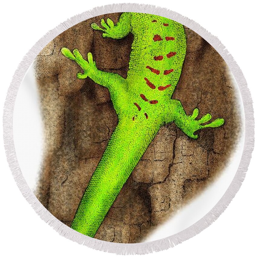 Lizard Round Beach Towel featuring the photograph Giant Day Gecko #1 by Roger Hall