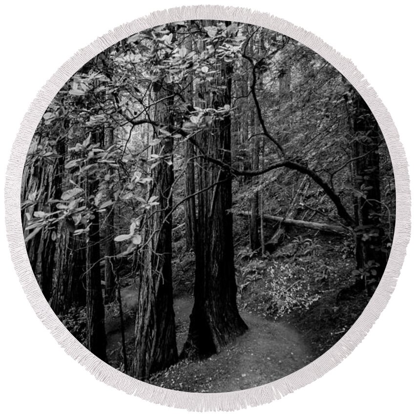 California Round Beach Towel featuring the photograph In the Woods #2 by Alexander Fedin