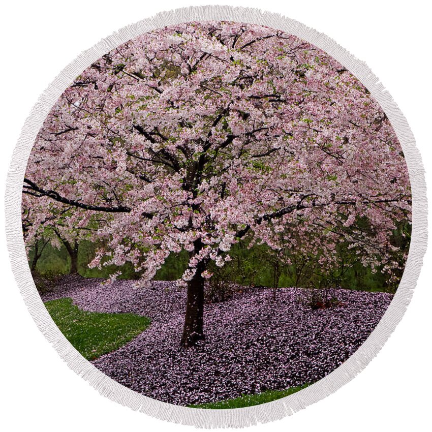 Canon Boulevard Round Beach Towel featuring the photograph Japanese Cherry Tree #1 by Jerry Gammon