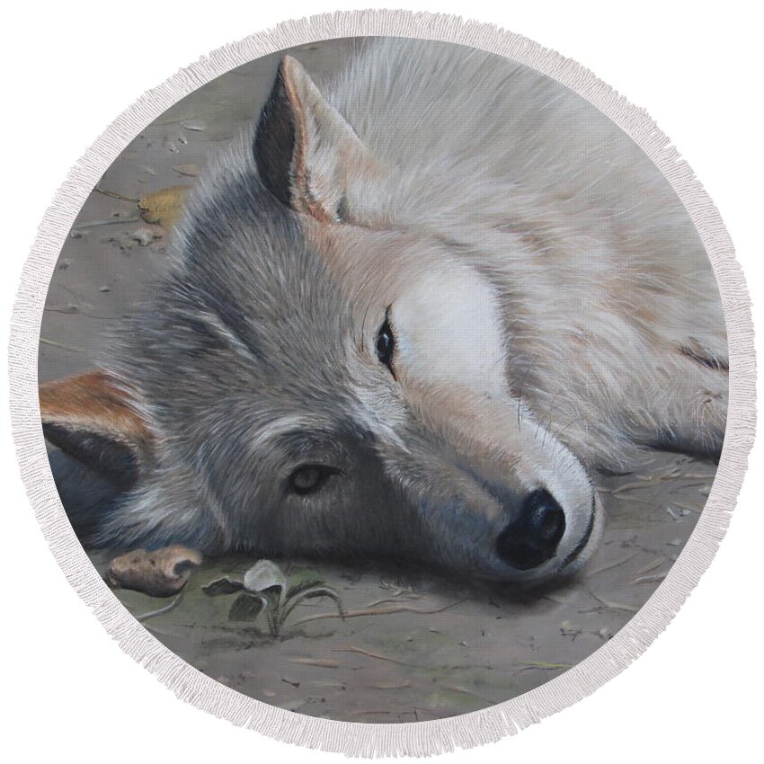 Wolf Round Beach Towel featuring the painting Just a Little Break by Tammy Taylor