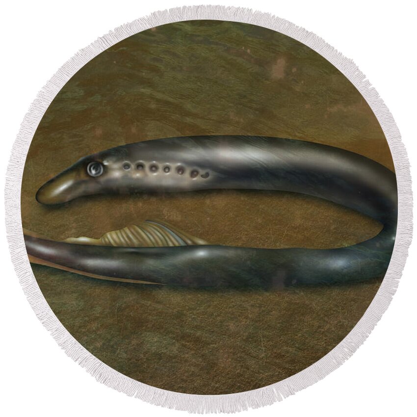 Nature Round Beach Towel featuring the photograph Lamprey Eel, Illustration by Gwen Shockey