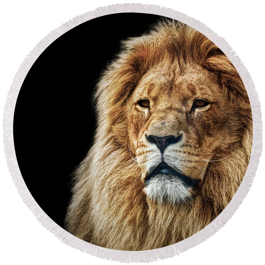 Lion Round Beach Towel featuring the photograph Lion portrait with rich mane on black #1 by Michal Bednarek