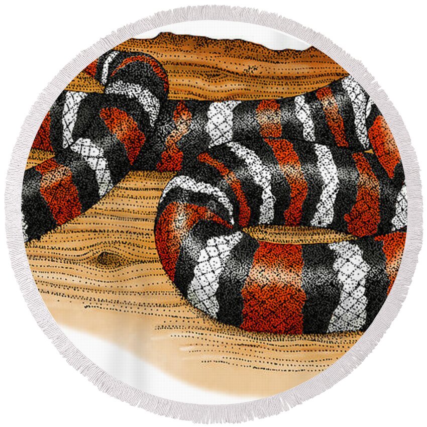 Art Round Beach Towel featuring the photograph Mountain Kingsnake by Roger Hall