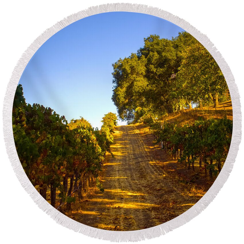 Opolo Round Beach Towel featuring the photograph Opolo Winery #1 by Bryant Coffey