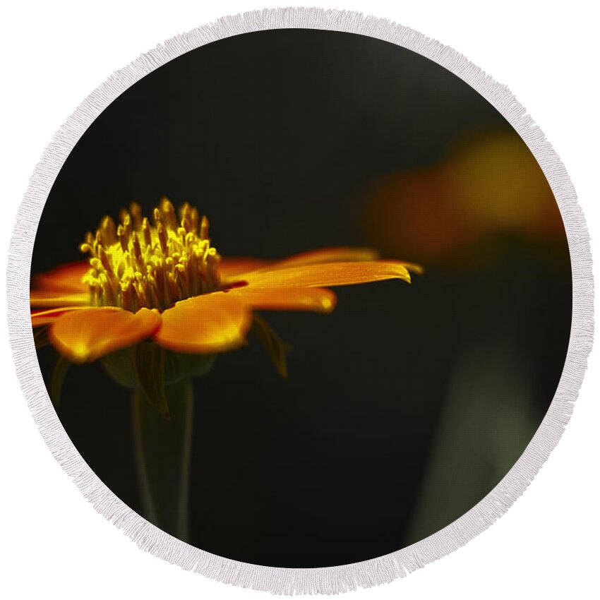 Flower Round Beach Towel featuring the photograph Orange Flower #1 by Bradley R Youngberg